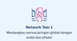 network2